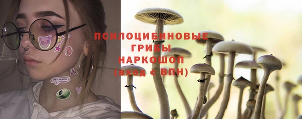 бошки Костерёво