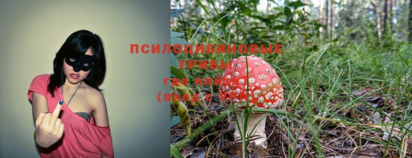 бошки Костерёво