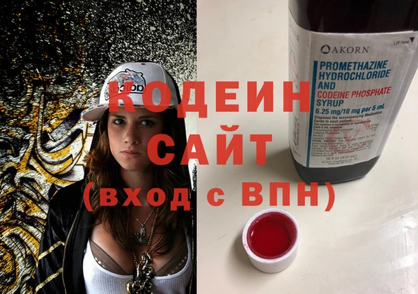 амф Корсаков